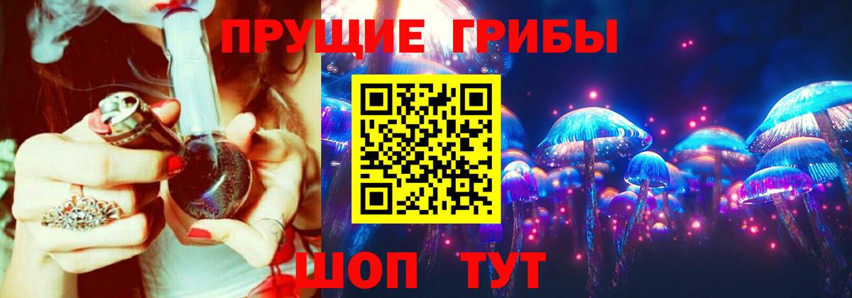 Галлюциногенные грибы Psilocybe Елабуга